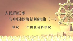 人民币汇率与中国经济结构扭曲视频教程 张斌 4讲 中国社会科学院