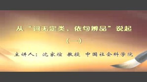 从词无定类 依句辨品说起视频教程 沈家煊 4讲 中国社会科学院