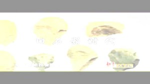 内蒙古呼伦贝尔大草原考古新发现视频教程 刘景芝 4讲 中国社会科学院