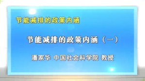 节能减排的政策内涵视频教程 潘家华 4讲 中国社会科学院