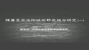 隋唐至宋洛阳城田野发掘与研究视频教程 陈良伟 4讲 中国社会科学院