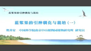 蓝浆果的引种驯化与栽培视频教程 贺善安 4讲 中国科学院