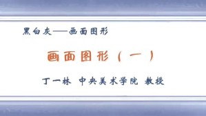 黑白灰—画面图形视频教程 丁一林 4讲 中央美术学院