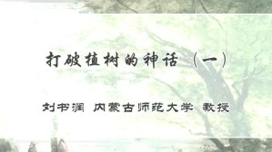 打破植树的神话视频教程 刘书润 4讲 内蒙古师范大学