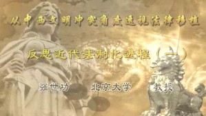 从中西文明冲突角度透视法律移植 反思近代法制化进程视频教程 强世功 4讲 北京大学