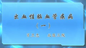 出血性脑血管疾病视频教程 肖卫忠 4讲 北京大学