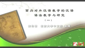 面向对外汉语教学的汉语语法教学与研究视频教程 陆俭明 4讲 北京大学