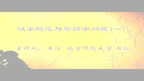 汉字规范与繁简字问题视频教程 王宁 4讲 北京师范大学