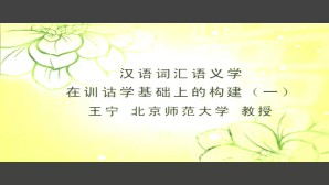汉语词汇语义学在训诂学基础上的构建视频教程 王宁 4讲 北京师范大学