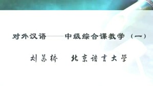 对外汉语-中级综合课教学视频教程 刘苏桥 4讲 北京语言大学