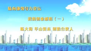 我的创业感悟视频教程 陈大同 4讲 华山资本