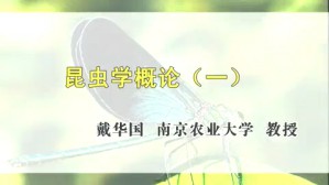 昆虫学概论视频教程 戴华国 4讲 南京农业大学