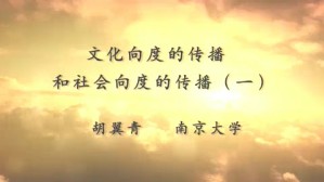文化向度的传播和社会向度的传播视频教程 胡翼青 4讲 南京大学
