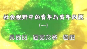 社会视野中的青年与青年问题视频教程 风笑天 4讲 南京大学