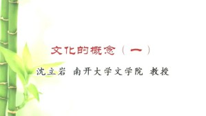 文化的概念视频教程 沈立岩 4讲 南开大学
