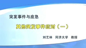 其他突发事件应对视频教程 刘艺林 4讲 同济大学
