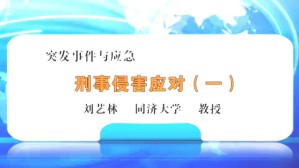 刑事侵害应对视频教程 刘艺林 4讲 同济大学