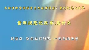 大法官和资深法官系列法律讲座-量刑规范化改革视频教程 高憬宏 7讲 国家法官学院