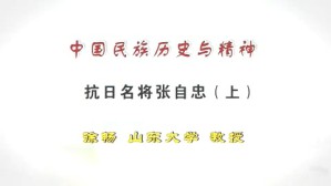 中国民族历史与精神视频教程 徐畅 4讲 山东大学