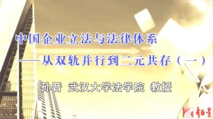 中国企业立法与法律体系-从双轨共存到二元并行视频教程 孙晋 4讲 武汉大学