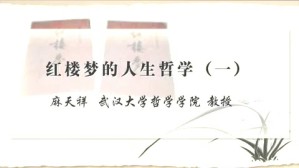 红楼的人生哲学视频教程 麻天祥 4讲 武汉大学