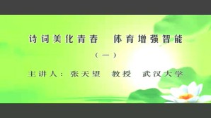 诗词美化青春 体育增强智能视频教程 张天望 4讲 武汉大学