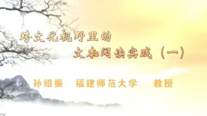 跨文化视野里的文本阅读实践视频教程 孙绍振 4讲 福建师范大学