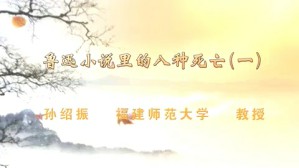 鲁迅小说里的八种死亡视频教程 孙绍振 4讲 福建师范大学