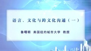 语言 文化与跨文化沟通视频教程 鲁曙明 4讲 美国纽约城市大学