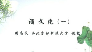 酒文化视频教程 樊志民 4讲 西北农林科技大学