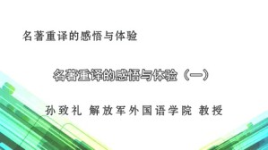 什么是好的翻译？名著重译的感悟与体验视频教程 孙致礼 4讲 解放军外国语学院