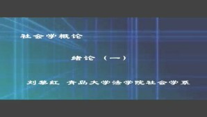 社会学概论视频教程 刘黎红 4讲 青岛大学