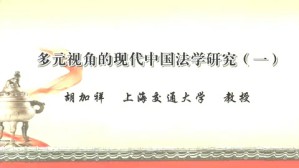 多元视角的现代中国法学研究视频教程 胡加祥 5讲 上海交通大学