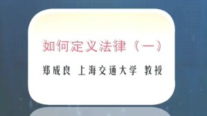 如何定义法律视频教程 郑成良 5讲 上海交通大学