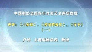 中国剧协全国青年导演艺术家研修班视频教程 卢昂 5讲 上海戏剧学院