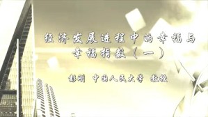 经济发展进程中的幸福与幸福指数视频教程 彭刚 5讲 中国人民大学