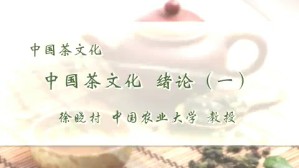 中国茶文化视频教程 徐晓村 5讲 中国农业大学
