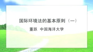 国际环境法的基本原则视频教程 董跃 5讲 中国海洋大学