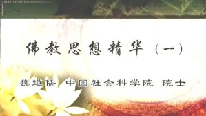 佛教思想精华视频教程 魏道儒 5讲 中国社会科学院