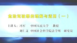 危险驾驶罪的理解与适用视频教程 冯军 刘仁文 5讲 中国社会科学院