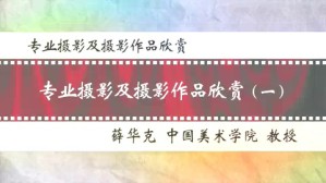 专业摄影及摄影作品欣赏视频教程 薛华克 5讲 中国美术学院
