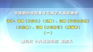 中国剧协全国青年导演艺术家研修班视频教程 廖向红 5讲 中央戏剧学院