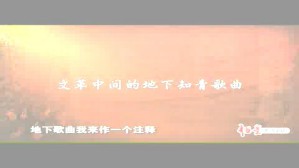 文革期间知青的地下歌曲视频教程 戴嘉枋 5讲 中央音乐学院