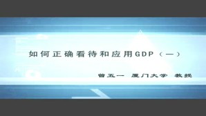 如何正确看待和应用GDP视频教程 曾五一 5讲 厦门大学