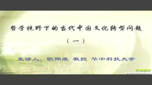哲学视野下的当代中国文化转型问题视频教程 林安梧 邓晓芒 5讲 台湾慈济大学