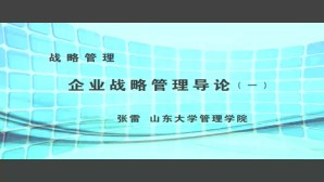 战略管理视频教程 张雷 5讲 山东大学