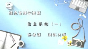 信息管理学基础视频教程 孙永强 5讲 武汉大学