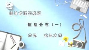 信息管理学基础视频教程 芦昆 5讲 武汉大学