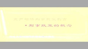 宽严相济刑事政策的若干问题视频教程 马克昌 5讲 武汉大学