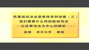 民事诉讼法全面修改系列讲座（三）我们需要什么样的能动司法-以民事司法为中心的解析视频教程 赵钢 5讲 武汉大学